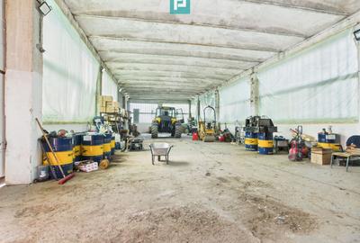 Complex industrial cu hale și teren  în Orțișoara - 13