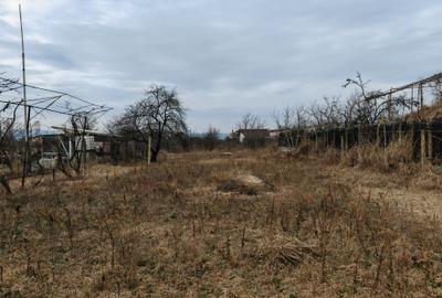 Teren constructii langa oras, Letea-Veche - 6