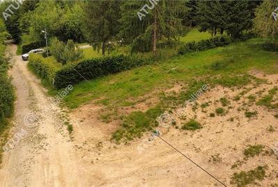 Teren intravilan 3000 mp in Porumbacu de Sus din Sibiu - 3