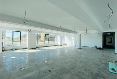 Hale Calea Chisinaului Iasi, aproape de Carrefour de la 65mp la 2000mp - 17