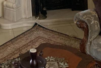 Ultracentral,vila S+P+E,faleza Dunarii,langa parc,Primaria Corabia,teren=1137mp - 5