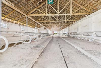 Complex industrial cu hale și teren  în Orțișoara - 28
