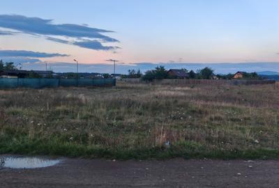 Teren Intravilan de vanzare - 1