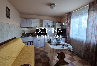 Casă P+1 de vânzare cu teren 1.143 mp – Târgu Jiu, zona Panduri, str. Motrului - 5
