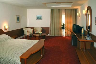 Hotel 4 stele, zona Pta Victoriei,cu restaurant si crama,comision 0 - 6