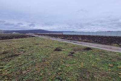 Loturi de teren intravilan la Tulbureni - 4