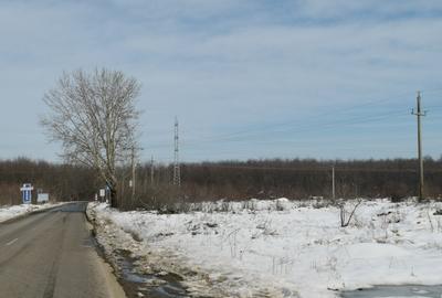 Teren langa padure - Sabareni - 4