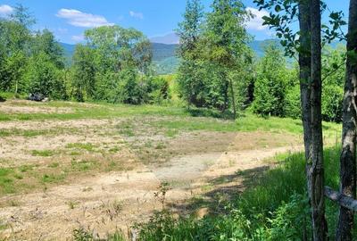 Teren agricol extravilan de 6725 mp, în Hoteni