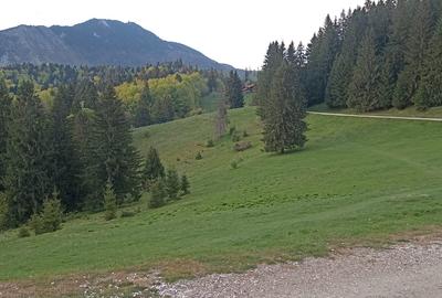 Vanzare teren 900 mp/25 ml toate utilitatile, Predeal laga Cabana Trei Brazi - 5