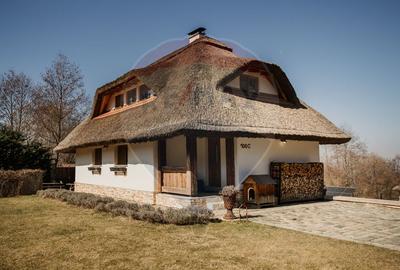Casă cu arhitectura traditionala romaneasca I Salicea I Cluj - 1