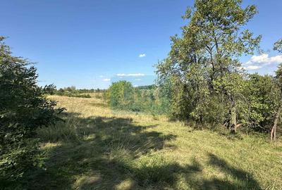 Vânzare teren Reșița: 17260 mp, Calea Caransebeșului - 4