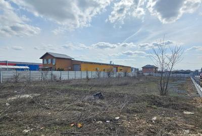 Terenuri de închiriat cu deschidere la DJ 100 – suprafețe generoase, acces TIR. - 6