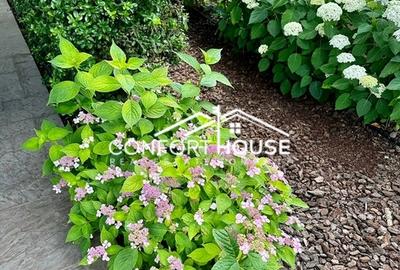 Vila cu arhitectura moderna,  piscina, cartier rezidential, IANCU NICOLAE - 52