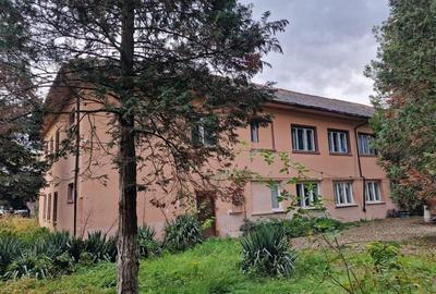 Resita CHIRIE Central, 785 mp. Parter, Etaj 1 - 2
