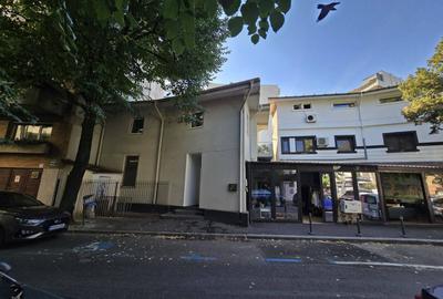 Spațiu comercial, de 300 mp, în Dacia