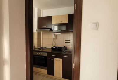 Dristor, garsoniera langa Kaufland, 5 minute metrou, PET FRIENDLY - 12