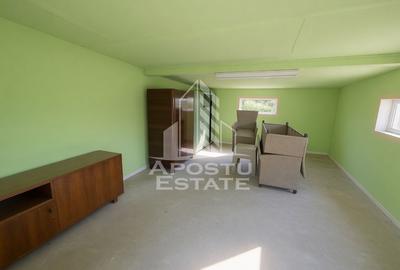 Casă renovată complet, cu garaj și anexe, în Satchinez, Timiș - 15