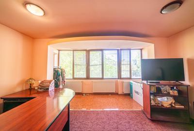 Casă Individuală D+P+1E, 4 camere, 502 mp teren (Calea Urseni) - 19