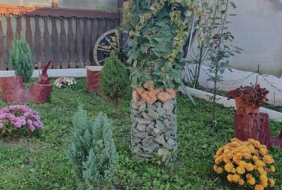 Casa 3 camere cu teren 1500mp spre vanzare in Velt -Sibiu - 15
