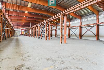Hală industrială cu pod rulant și parcare betonată - 2