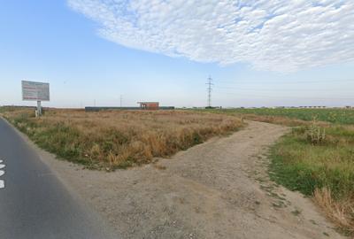 Teren Construcții intravilan în Berceni