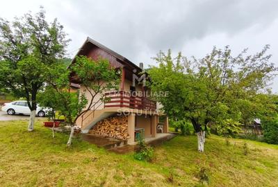 Casă P+1 de vânzare | Cicârlău | 11 ari teren - 15
