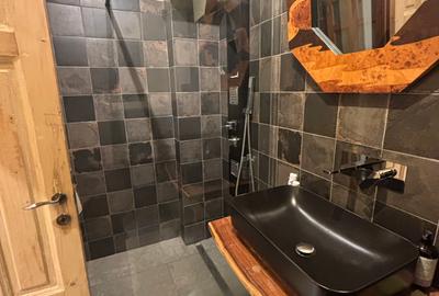 Inchiriere apartament cu 4 camere cu vedere in  Parcul Cismigiu - 15