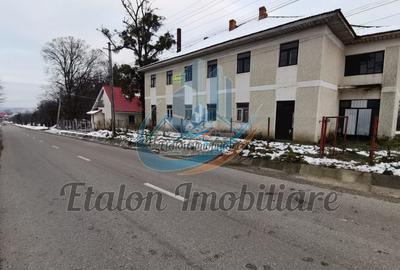 Constructie - Fosta Brutarie 400 m utili P+1 Grumazesti Neamt - 7