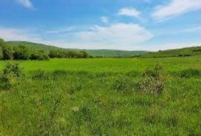 Teren Construcții intravilan de 7200 mp, în Drăgești