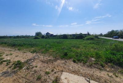 Teren intravilan la intrare în Vetiș – 12.216 mp - 5