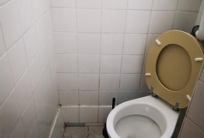 Spatiu Piata Ovidiu 50 mp parter cu demisol 50 mp - 2