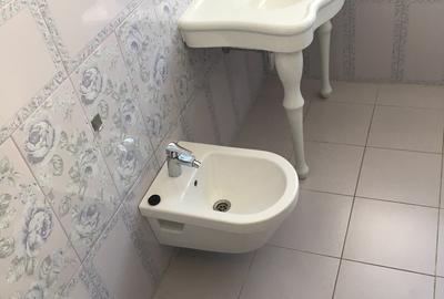 Inchiriere Vila De Lux Baneasa Sisesti - 9