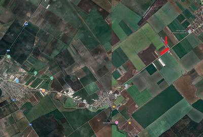 Teren de vânzare – Afumați, 90.000 mp cu deschidere de 430 m la Drumul Național - 1