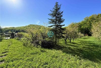 Vand teren intravilan, 2566 mp in Corunca situat intr-o zona linistita si intima - 2