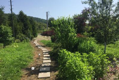 Teren intravilan, 4500 mp, casa de vacanta, in Baciu, zona Sun Garden - 1