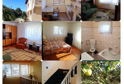Casa de inchiriat, Prundu Mic -Pitesti, mobilata si utilata, curte, centrala etc - 7