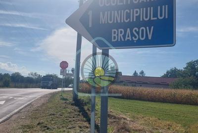 TEREN STUPINI BRASOV - 4