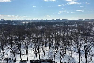 Apartament de închiriat Tineretului/ parc Tineretului/ metrou - 9