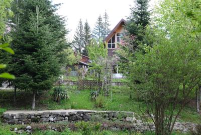 Vanzare 2 vile noi, mari superbe si 1905 mp teren la munte in Cheia Prahova - 13