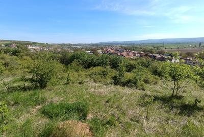 Teren 2160 mp | Panoramă | Zonă liniștită Pâclișa - 3