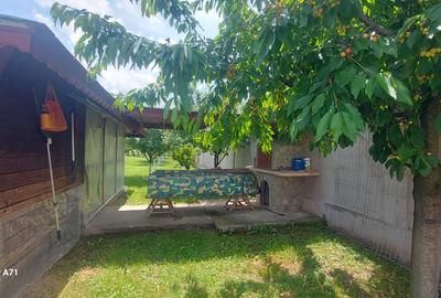 Snagov- Gruiu- Santul Floresti -Proprietate cu stil pentru oameni gospodari! - 48