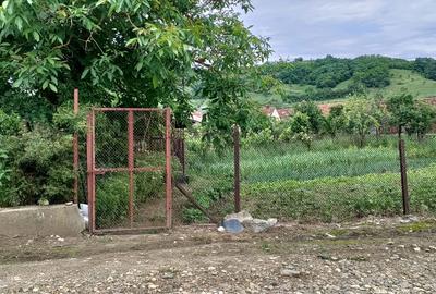 Casa de vânzare zona Cheile Nerei - jud. Caraș-Severin - 4