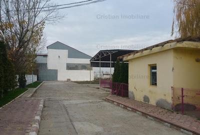 Hala   spatiu depozitare, zona Chiscani, suprafata 14450 mp - 13