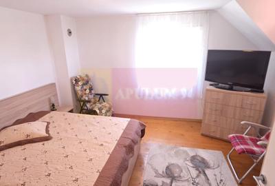 Vila de vanzare in Breaza-Nistoresti cu 7068 mp - 25