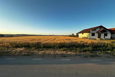 RECO Teren intravilan in Cheriu 2.303 mp - 1