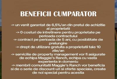 Apartamente de Vacanta - Rasnov Brasov - 16