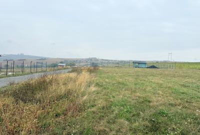 📏 teren pentru cabane Sibiu, Dealul Daii, Casolt, direct de la proprietar - 17