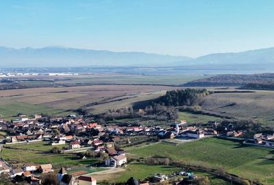 Parcele teren pentru cabane - sat Rusciori 567 mp - direct de la proprietar! - 6