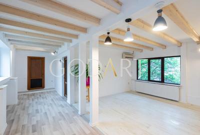 BIROURI | VILA | ULTRACENTRAL | PARCARE - 13