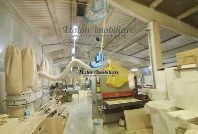 Hala 755 mp, teren 2000 mp, Girov, Judet Neamt - 1